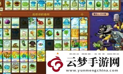 植物大战僵尸杂交版第7关通关攻略【详解】