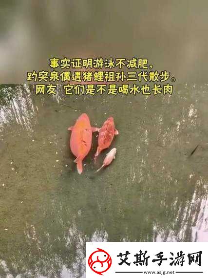 女人鲤鱼喝水图解大全之详细解析