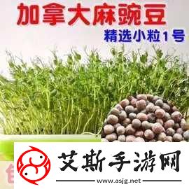 麻豆精产国品一二三产区别：深入解析麻豆精产国品的三大产业特征