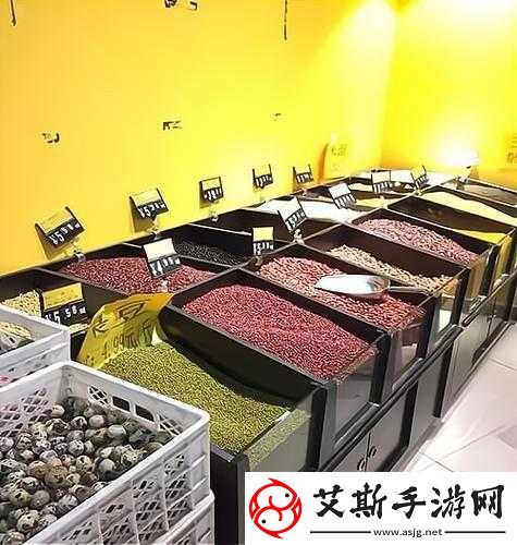 江南盛景繁华映照应天府与苏州府店铺收益榜大揭秘：详细排名及策略指南