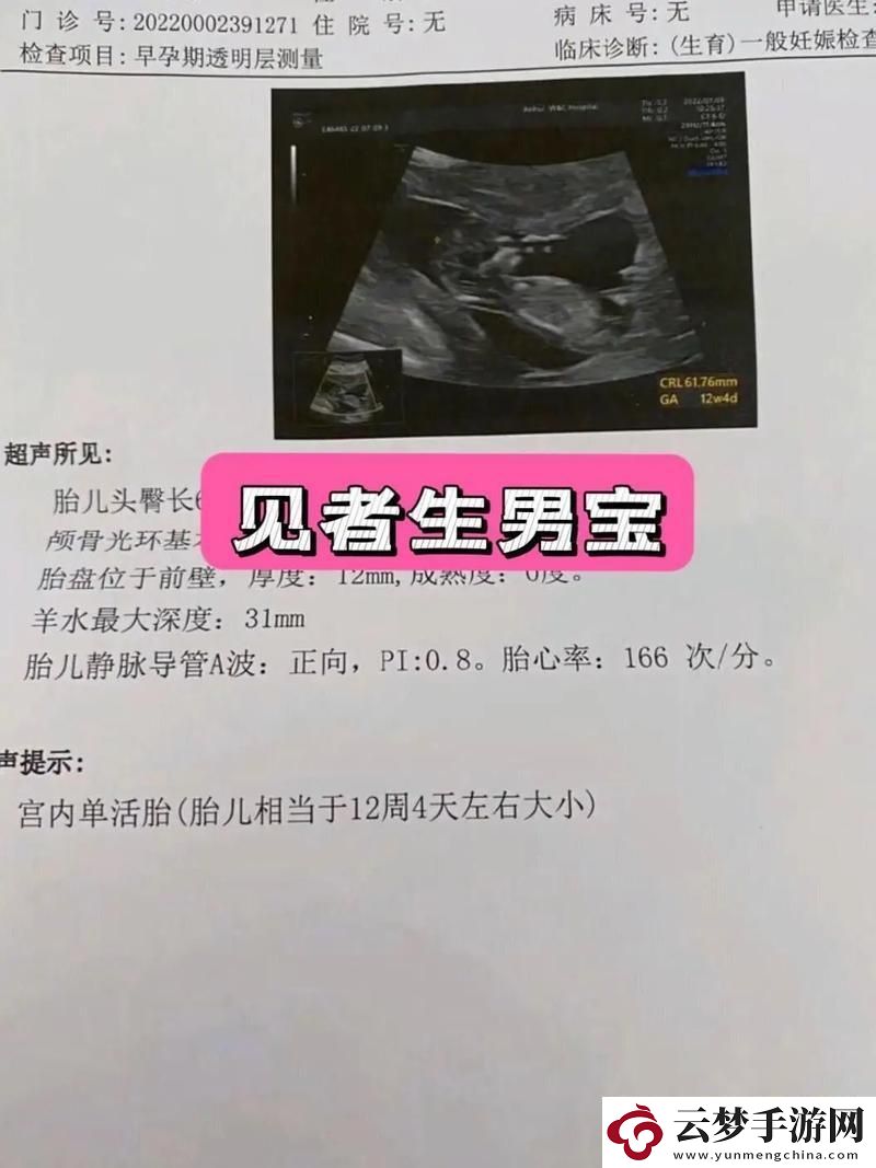 胎头纯生嘶哑难产文:一场科技江湖的狂欢还是群体的智慧