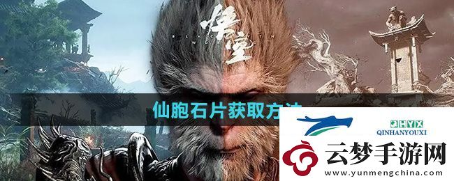 黑神话悟空仙胞石片怎么获得-仙胞石片获取方法